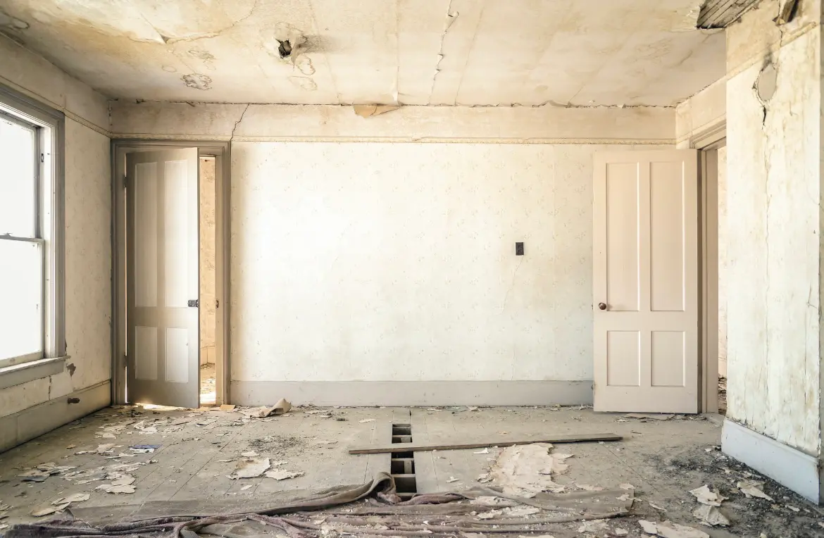 Waste disposal crew managing a cleanout project in Wellington